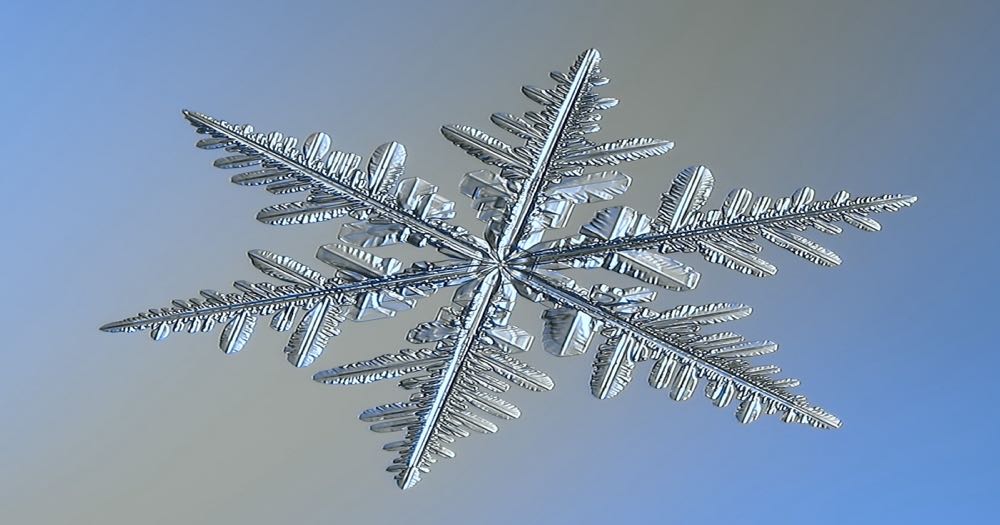 A single snowflake crystal photographed in extreme macro detail, each arm uniquely formed -- no two alike